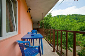 Guest House Olesya